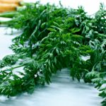 Морковная ботва при геморрое: лечебные свойства, рецепты, отзывы