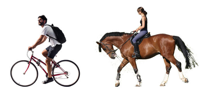 Велосипед и конный спорт